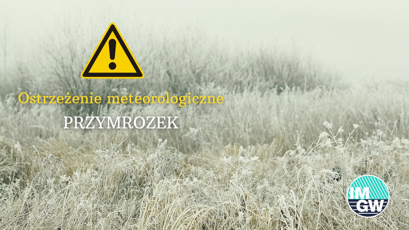 przymrozki ostrzeżenie