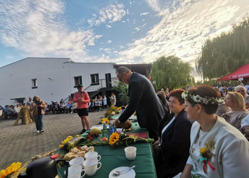 występy artystyczne