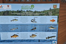 Dofinansowanie dla Zaborówca w konkursie 