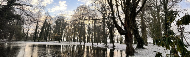 park w Wijewie w zimowej odsłonie