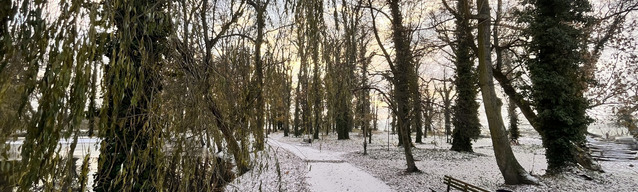 park w Wijewie w zimowej odsłonie