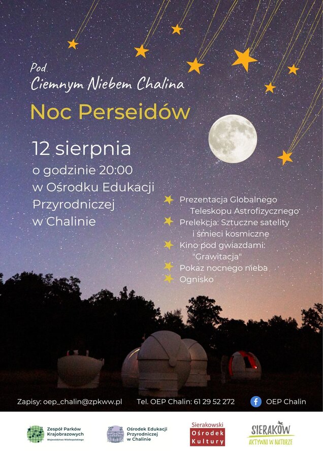 plakat noc perseidów