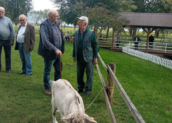 Zdjęcie przedstawia uczestników Klubu Seniora